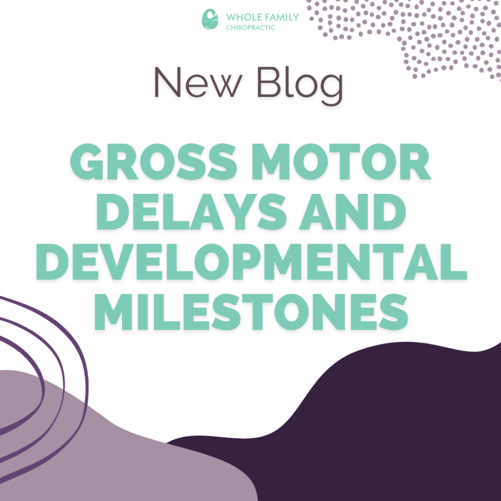 Gross Motor Delays and Developmental Milestones Whole Family Chiropractic Dr. Tye Moe Dr